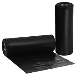 CARPA NEGRA  6X100X40KG PADRÓN